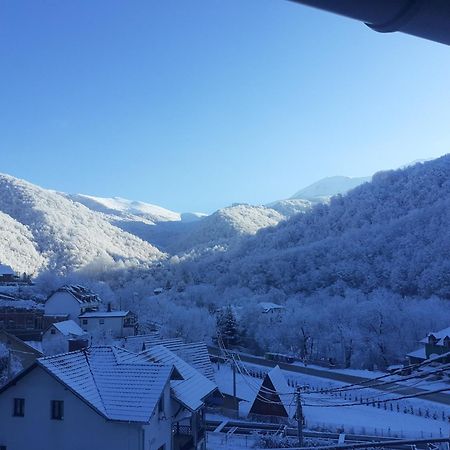 Bed and Breakfast Std Cvetkovic Crni Vrh Экстерьер фото