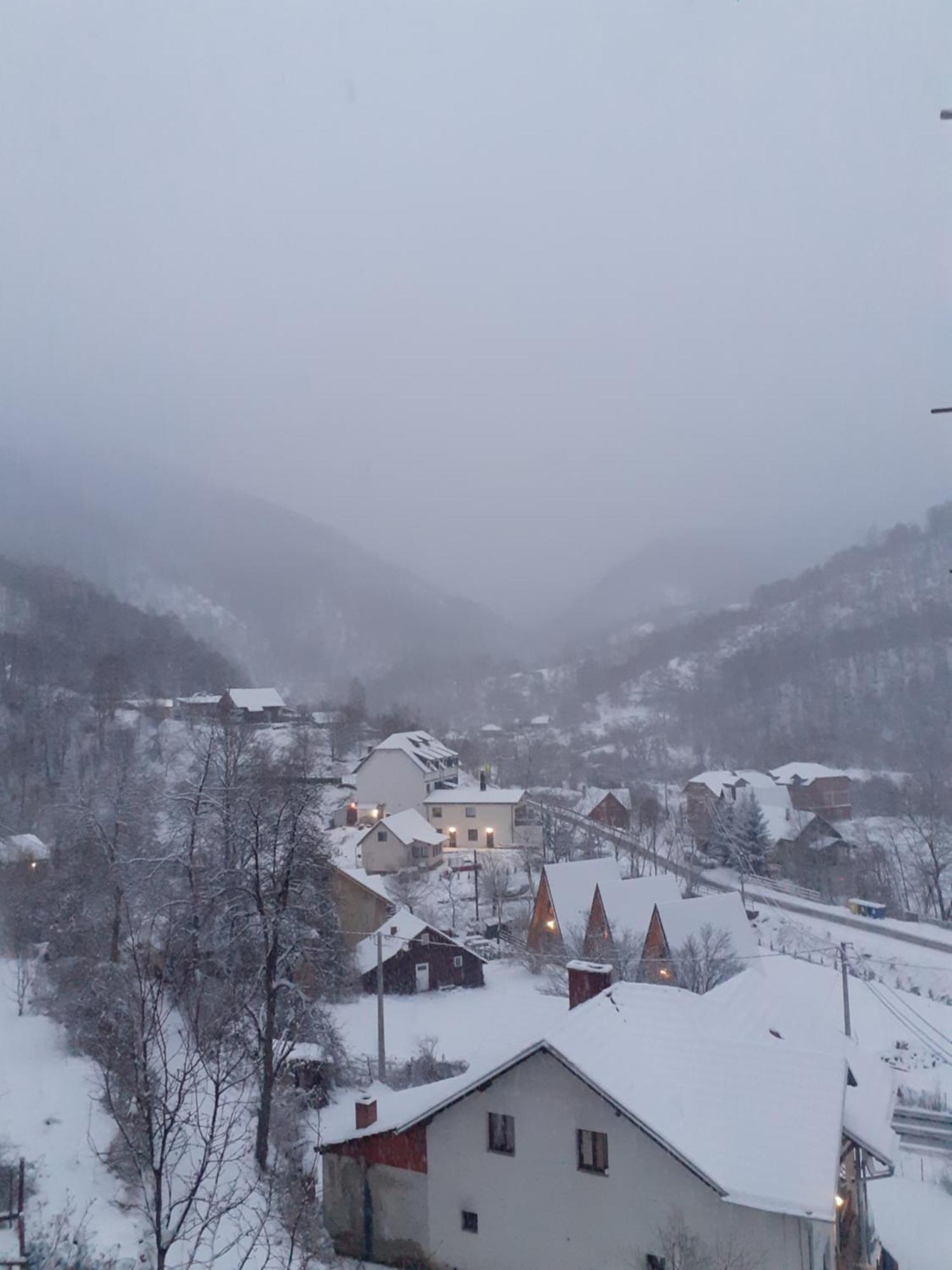 Bed and Breakfast Std Cvetkovic Crni Vrh Экстерьер фото