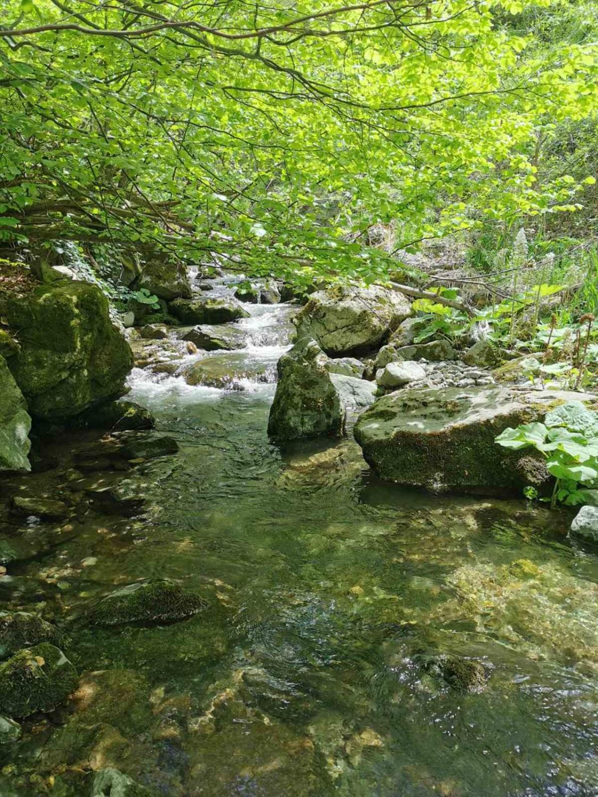 Bed and Breakfast Std Cvetkovic Crni Vrh Экстерьер фото